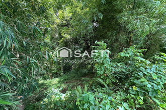  terrain robert 97231