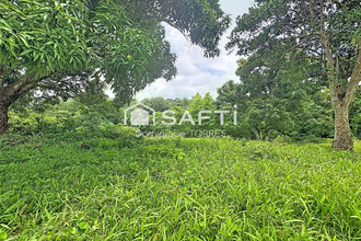  terrain robert 97231