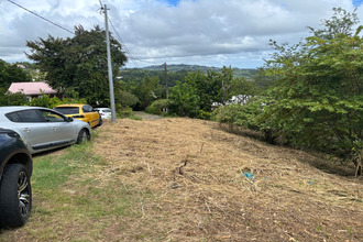  terrain robert 97231
