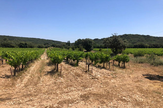  terrain rochefort-du-gard 30650