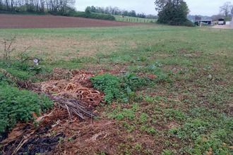  terrain romagnieu 38480