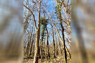  terrain ronquerolles 95340