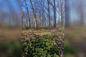  terrain ronquerolles 95340