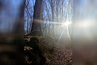  terrain ronquerolles 95340