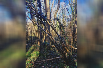  terrain ronquerolles 95340