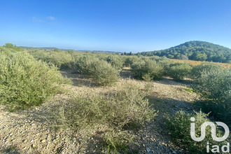  terrain roquefort-des-corbieres 11540