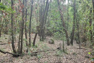  terrain roquefort-les-pins 06330