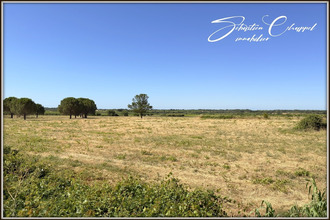  terrain roujan 34320