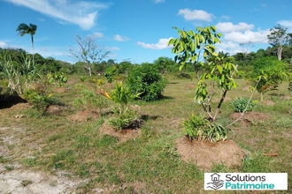  terrain roura 97311