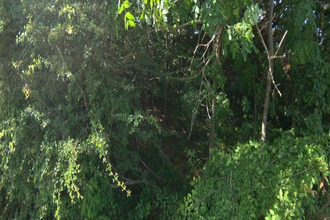  terrain roybon 38940