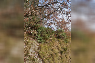  terrain sabran 30200