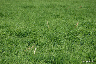  terrain sainghin-en-melantois 59262