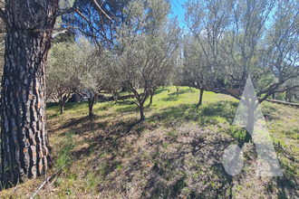  terrain salernes 83690