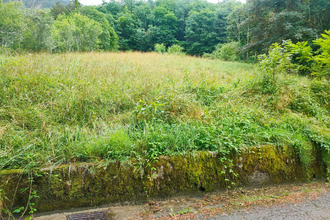  terrain salins-les-bains 39110