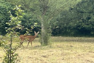  terrain samoreau 77210