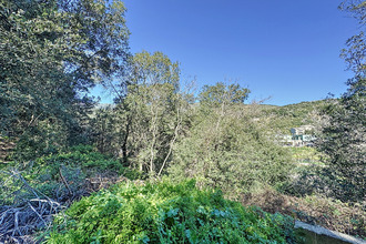  terrain san-martino-di-lota 20200