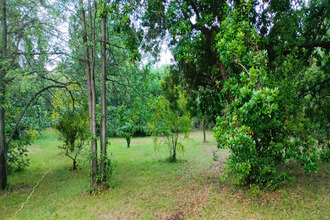  terrain san-nicolao 20230