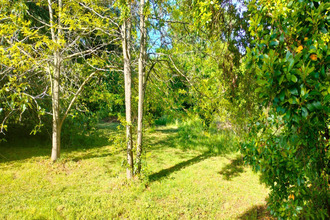  terrain san-nicolao 20230