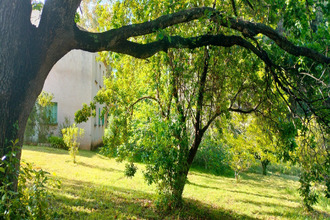  terrain san-nicolao 20230