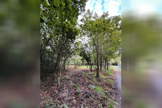  terrain sanguinet 40460