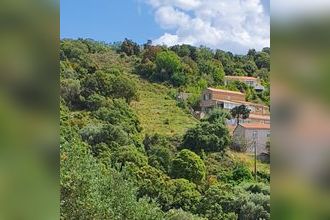  terrain santa-reparata-di-balagna 20220