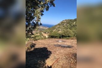  terrain santa-reparata-di-balagna 20220