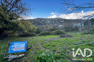  terrain santo-pietro-di-tenda 20246
