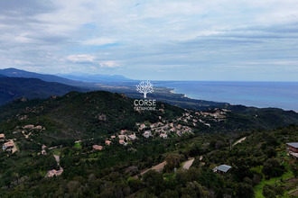  terrain sari-solenzara 20145