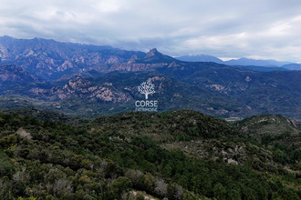  terrain sari-solenzara 20145