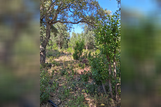  terrain sari-solenzara 20145