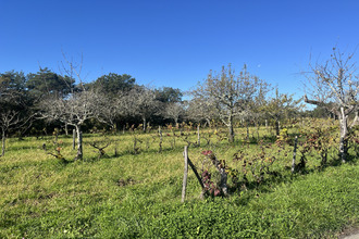  terrain sarlat-la-caneda 24200
