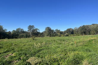  terrain sarlat-la-caneda 24200