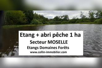  terrain sarrebg 57400