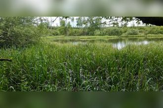  terrain sarrebg 57400