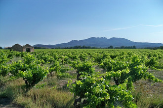  terrain sarrians 84260