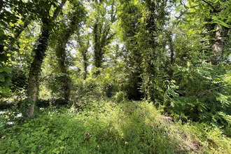  terrain sarzeau 56370