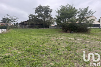  terrain saucats 33650