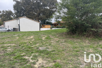  terrain saucats 33650