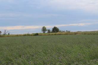  terrain saussan 34570