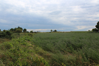  terrain saussan 34570