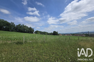  terrain sauveterre-de-bearn 64390