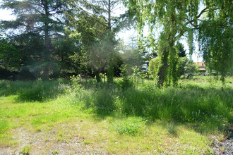  terrain savigneux 42600