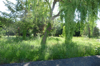  terrain savigneux 42600