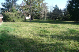  terrain savigneux 42600