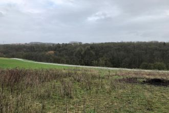  terrain schwerdorff 57320