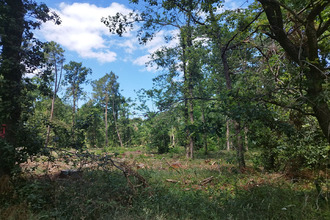  terrain selles-sur-cher 41130