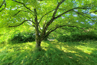  terrain sepvret 79120