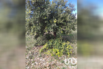  terrain serignan-du-comtat 84830