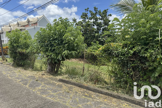  terrain shoelcher 97233