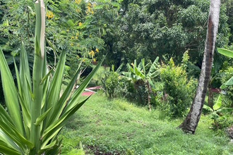  terrain shoelcher 97233